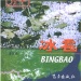 甘德县好玩的地方